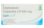 cephalexin